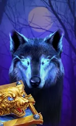 Book Of The Night Wolf